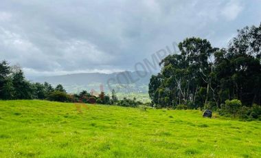 VENDO MAGNIFICO LOTE CONJUNTO GRANADA Y CAYUNDA