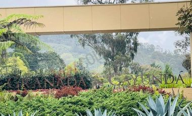 VENDO MAGNIFICO LOTE CONJUNTO GRANADA Y CAYUNDA