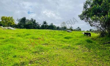 VENDO MAGNIFICO LOTE CONJUNTO GRANADA Y CAYUNDA