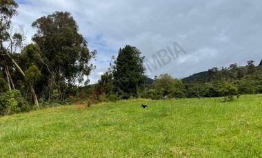 VENDO MAGNIFICO LOTE CONJUNTO GRANADA Y CAYUNDA