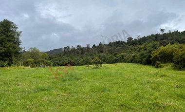 VENDO MAGNIFICO LOTE CONJUNTO GRANADA Y CAYUNDA