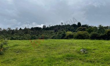 VENDO MAGNIFICO LOTE CONJUNTO GRANADA Y CAYUNDA