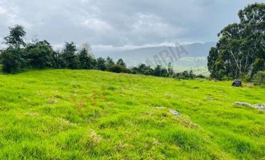 VENDO MAGNIFICO LOTE CONJUNTO GRANADA Y CAYUNDA