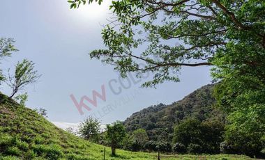 En Venta De Lote En Santa Marta