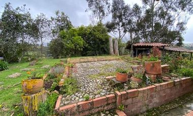 VENDO CASA LOTE URBANO, LA CALERA-8294