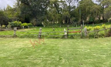 VENDO CASA LOTE URBANO, LA CALERA-8294