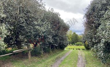 VENDO CASA LOTE URBANO, LA CALERA-8294