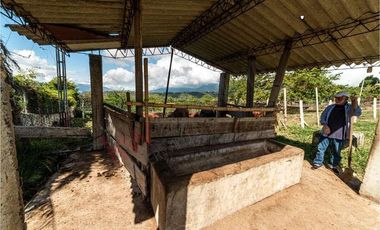 Espectacular Finca en venta en Fusagasugá