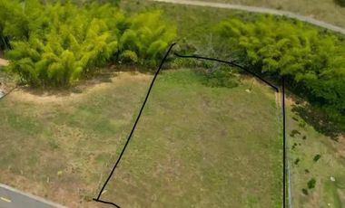 Vendo Lote Cerritos Pereira