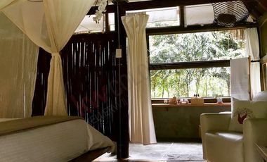 EN VENTA FINCA ECOTURISTICA EN VEREDA HOYA GRANDE, LA VEGA CUNDINAMARCA.