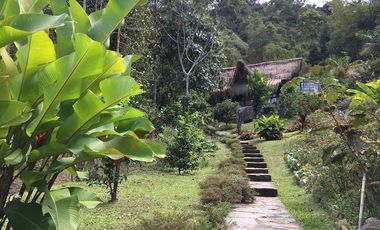 EN VENTA FINCA ECOTURISTICA EN VEREDA HOYA GRANDE, LA VEGA CUNDINAMARCA.