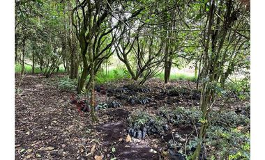 EN VENTA CASA CAMPESTRE EN LA CALERA CUNDINAMARCA