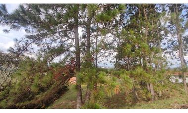 En Venta Lote En Colina, Jamundi