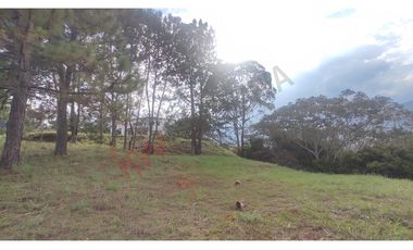 En Venta Lote En Colina, Jamundi