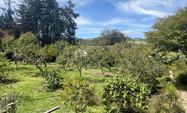 Venta finca Vereda Ovejeras en Suesca Cundinamarca, detalles Históricos