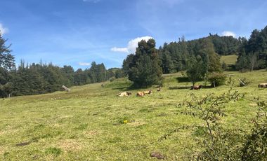 Venta finca Vereda Ovejeras en Suesca Cundinamarca, detalles Históricos