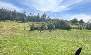 Venta finca Vereda Ovejeras en Suesca Cundinamarca, detalles Históricos