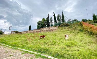 EXCELENTE LOTE ESQUINERO PARA INVERSION CON VISTA AMPLIA