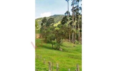 LOTE LA CALERA VEREDA EL TRIUNFO