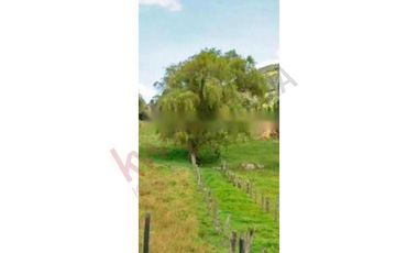 LOTE LA CALERA VEREDA EL TRIUNFO