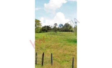 LOTE LA CALERA VEREDA EL TRIUNFO