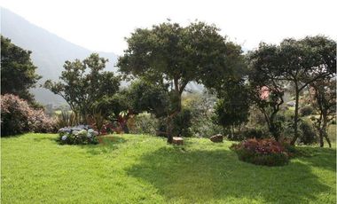 VENDO HERMOSA CASA MACADAMIA LA CALERA