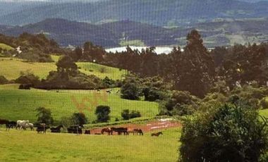 Venta Finca en la Vereda Tierra Negra Sesquilé Cundinamarca-6234