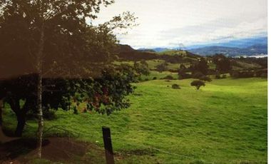 Venta Finca en la Vereda Tierra Negra Sesquilé Cundinamarca-6234