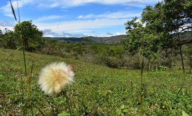 Lotes De 1000 Mts2 En La Cumbre Sector Urbano