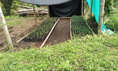 VENDO ESPECTACULAR FINCA EN SASAIMA CUNDINAMARCA
