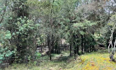 Venta Lote De 10.000 M2 En La Parcelación San Jorge 2, Yerbabuena, Chía