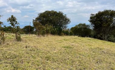 Venta Lote De 10.000 M2 En La Parcelación San Jorge 2, Yerbabuena, Chía
