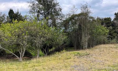 Venta Lote De 10.000 M2 En La Parcelación San Jorge 2, Yerbabuena, Chía