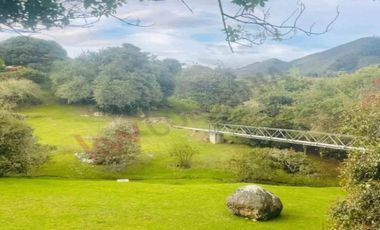 VENDO HERMOSA CASA MACADAMIA LA CALERA
