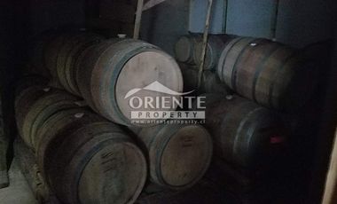 VENTA DE VIÑA