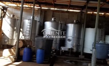 VENTA DE VIÑA