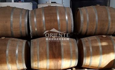 VENTA DE VIÑA