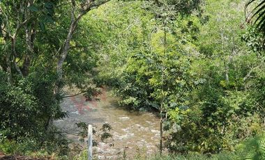 En Venta Lote en Taguben, Potrerito, Jamundí