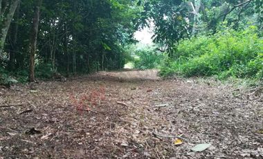 En Venta Lote en Taguben, Potrerito, Jamundí