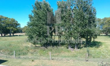 CHACRA DE 3 HECTAREAS EN AZUL