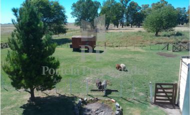 CHACRA DE 3 HECTAREAS EN AZUL