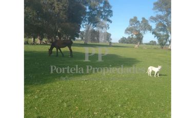 CHACRA DE 3 HECTAREAS EN AZUL