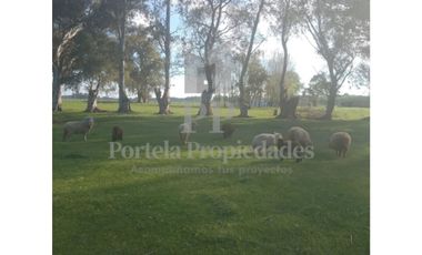 CHACRA DE 3 HECTAREAS EN AZUL