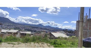 Vendo terreno en los Rosales