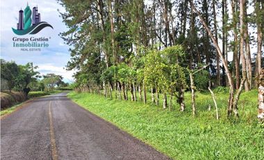 VENDO FINCA DE 6.5 HA CON ALTITUD DE 995M.S.N.M.