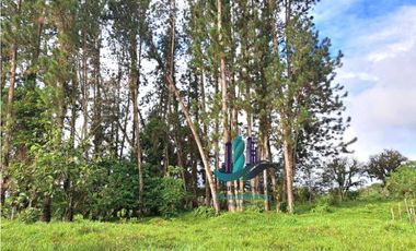 VENDO FINCA DE 6.5 HA CON ALTITUD DE 995M.S.N.M.
