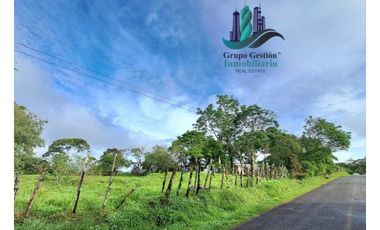 VENDO FINCA DE 6.5 HA CON ALTITUD DE 995M.S.N.M.