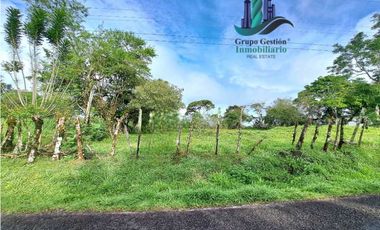 VENDO FINCA DE 6.5 HA CON ALTITUD DE 995M.S.N.M.
