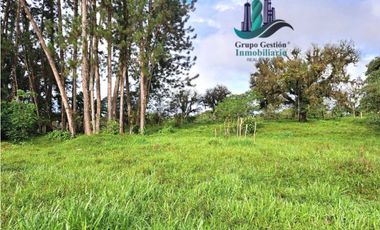 VENDO FINCA DE 6.5 HA CON ALTITUD DE 995M.S.N.M.