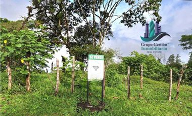 VENDO FINCA DE 6.5 HA CON ALTITUD DE 995M.S.N.M.